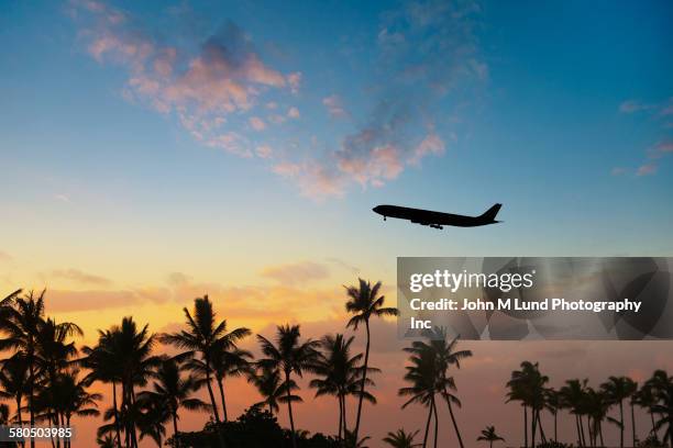 silhouette of airplane flying over palm trees in sunset - airplane travel stock-fotos und bilder