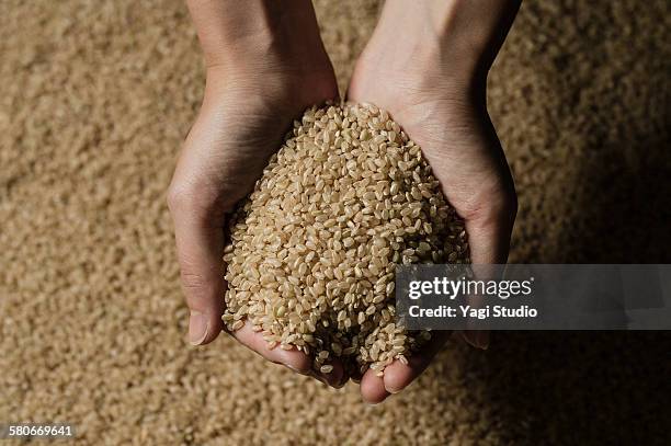 scoop up the brown rice by hand - brown rice stock pictures, royalty-free photos & images