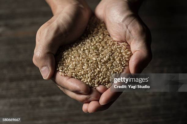 scoop up the brown rice by hand - naturreis stock-fotos und bilder