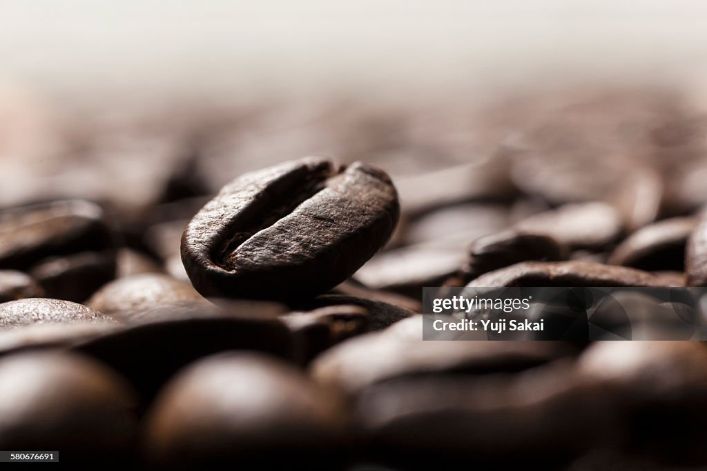 Close up coffee bean