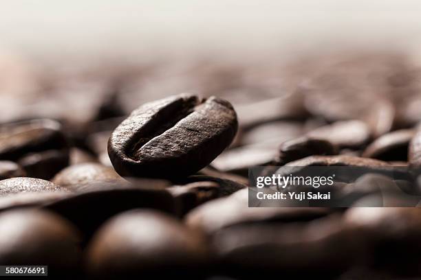 close up coffee bean - grão de café tostado imagens e fotografias de stock