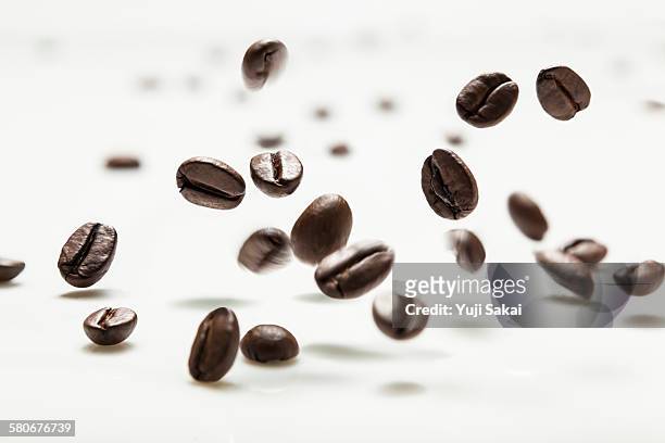 coffee bean hit on milk white board - geröstete kaffeebohne stock-fotos und bilder