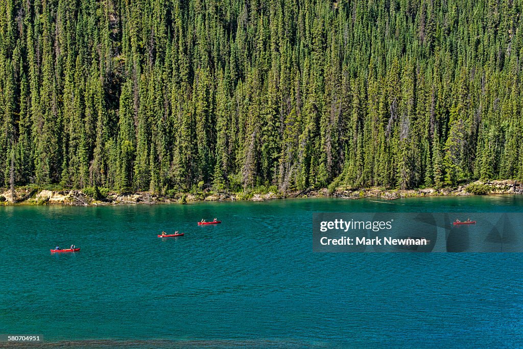 Canoeists on yukon river