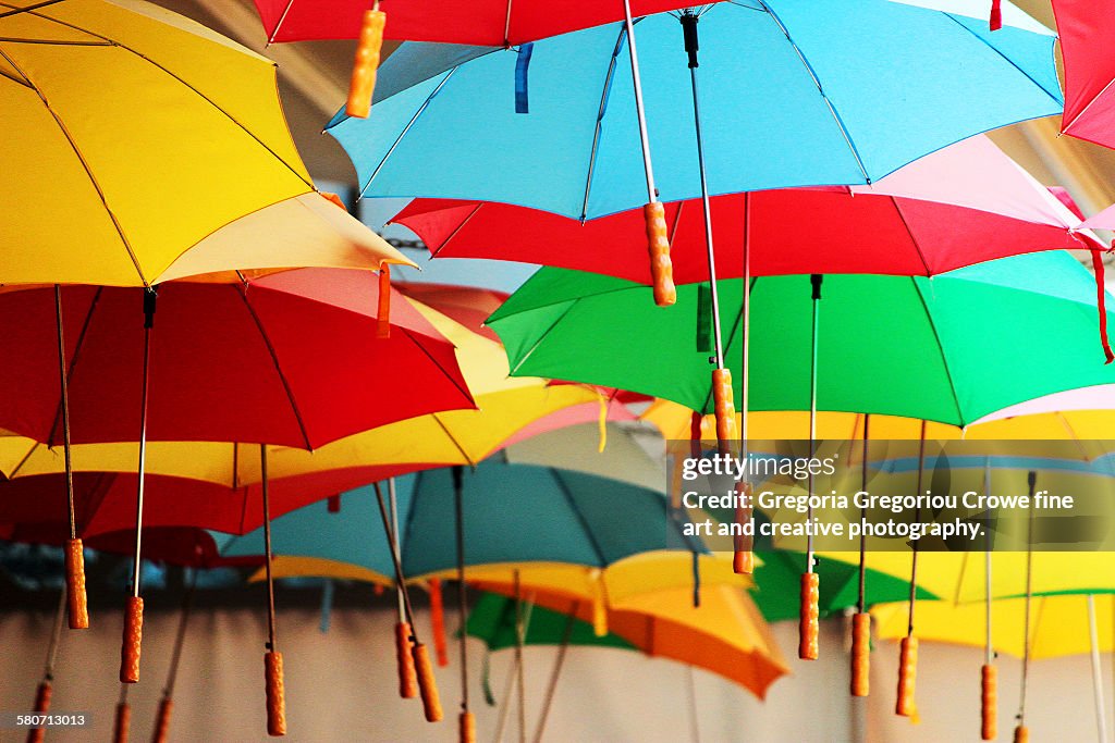 Umbrellas suspended from ceiling