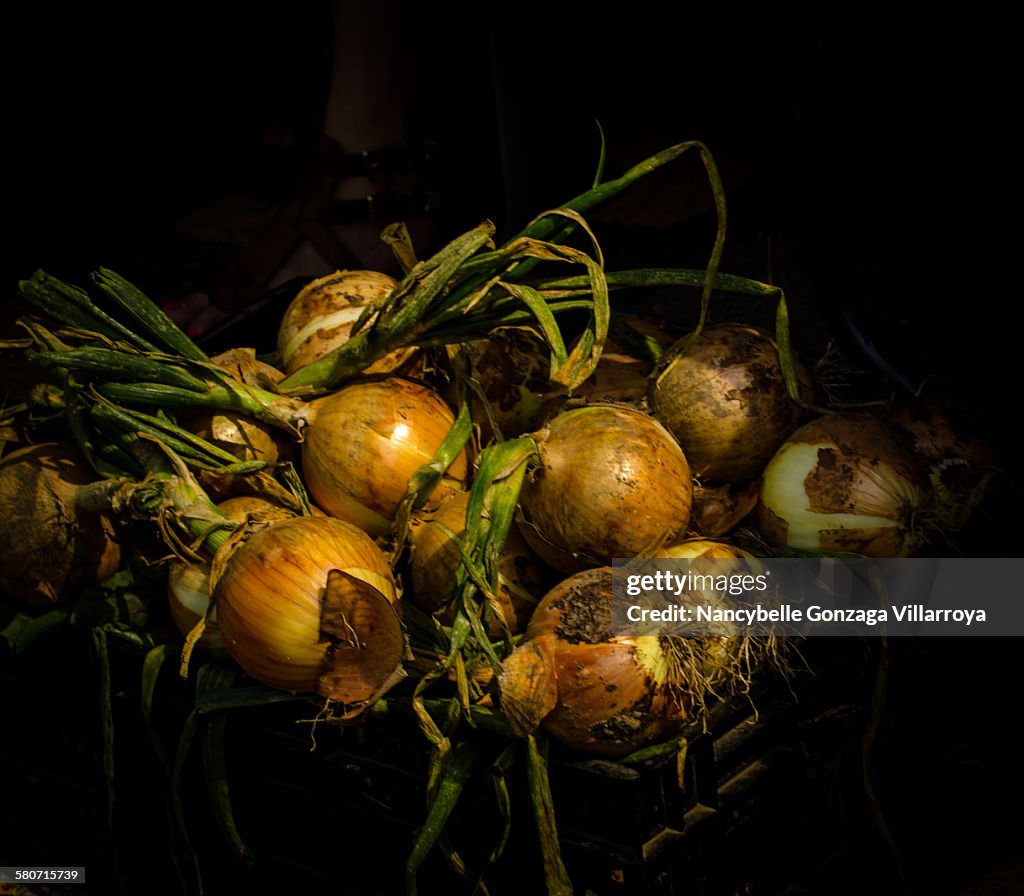 Yellow Onions