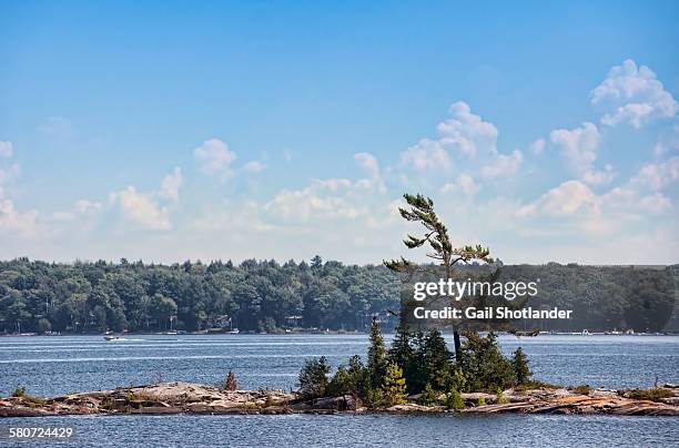 group of trees on a small island - parry sound stock pictures, royalty-free photos & images