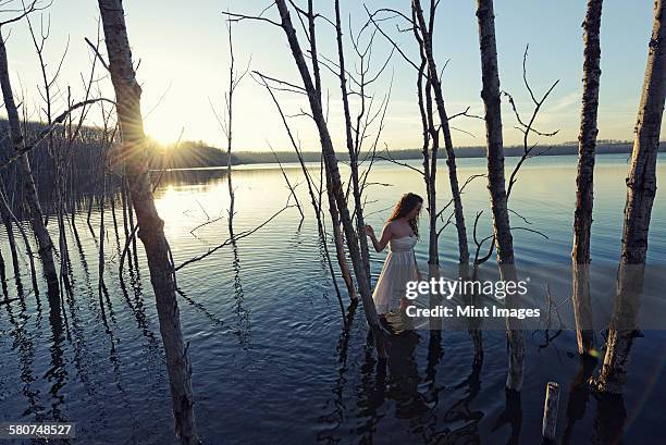 a woman in a white dress in shallow water at dusk - see through negligee stock-fotos und bilder