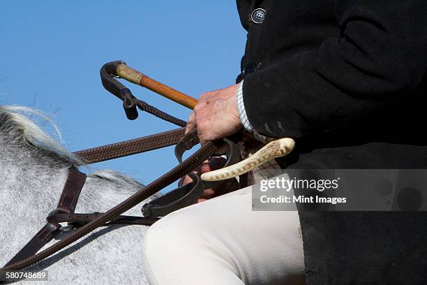 a man in hunting jacket and breeches, with riding crop seated on horseback. - reins stock pictures, royalty-free photos & images