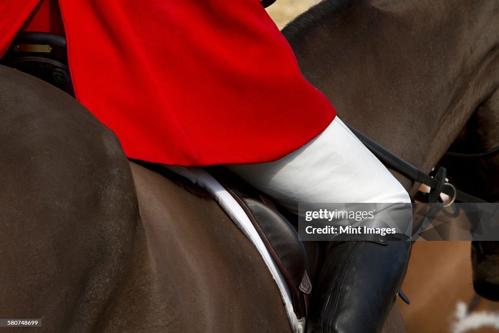 A Master of Foxhounds in a traditional hunting coat, on horseback.