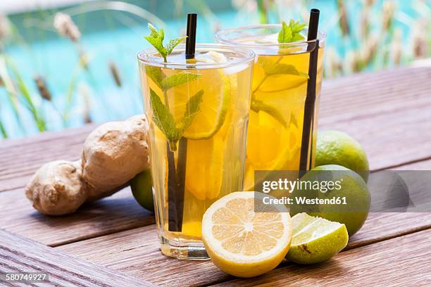 homemade iced tea, lemonade with fresh ginger, lemon, lime and mint - ginger glasses stock-fotos und bilder