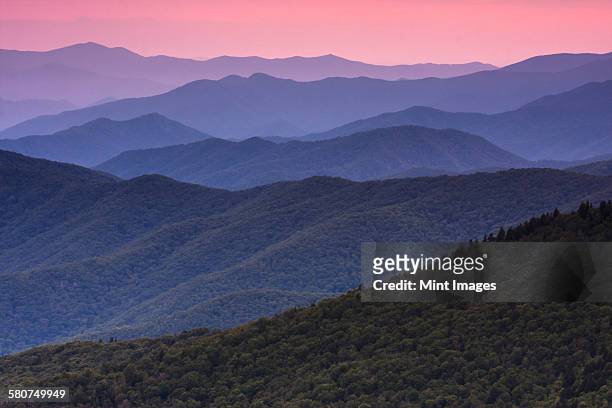 the great smoky mountains in tennessee at dusk. - appalachia stockfoto's en -beelden