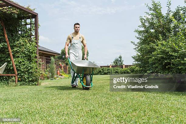 young man walking with wheelbarrow in backyard - wheelbarrow stock pictures, royalty-free photos & images