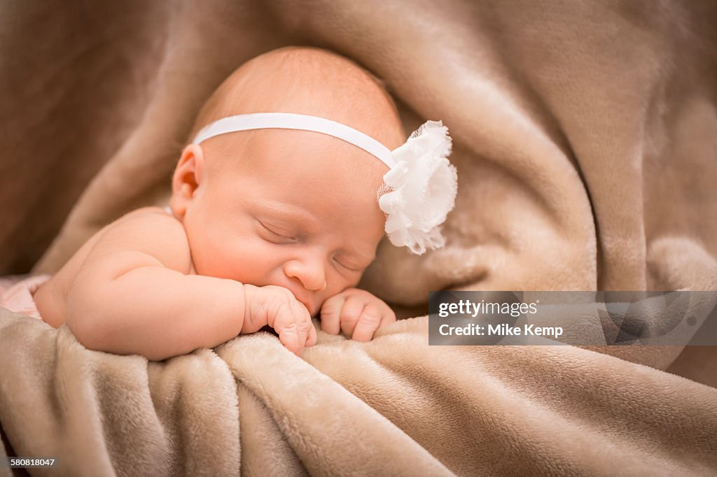 USA, Utah, Lehi, Portrait of newborn baby (0-1 months)