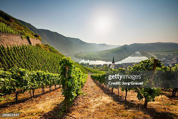 bremm at sunrise - rhineland palatinate stock pictures, royalty-free photos & images