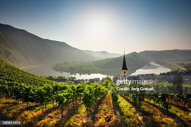bremm at sunrise - rhineland palatinate stock pictures, royalty-free photos & images