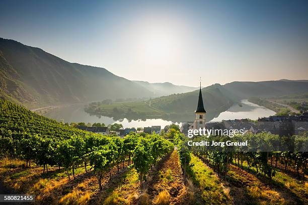 bremm at sunrise - moselle river stock pictures, royalty-free photos & images