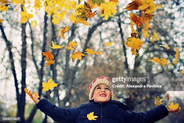 cute boy playing with autumn leaves - alexandra pavlova foto e immagini stock