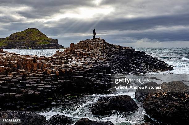 giant's causeway, northern ireland - giant's causeway stockfoto's en -beelden