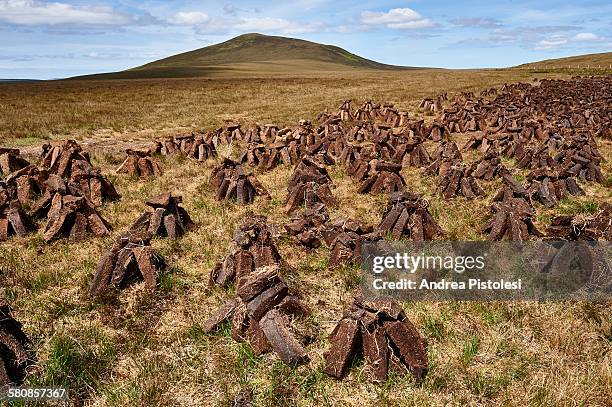 peat field, ireland - peat stock pictures, royalty-free photos & images