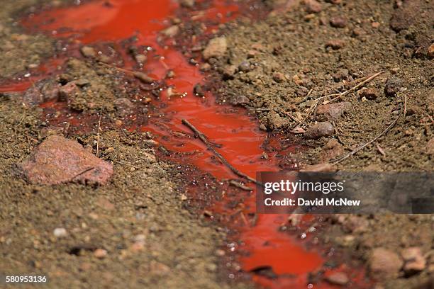 Fire retardant dropped by a helicopter flows next to a road in Placerita Canyon at the Sand Fire on July 25, 2016 in Santa Clarita, California....