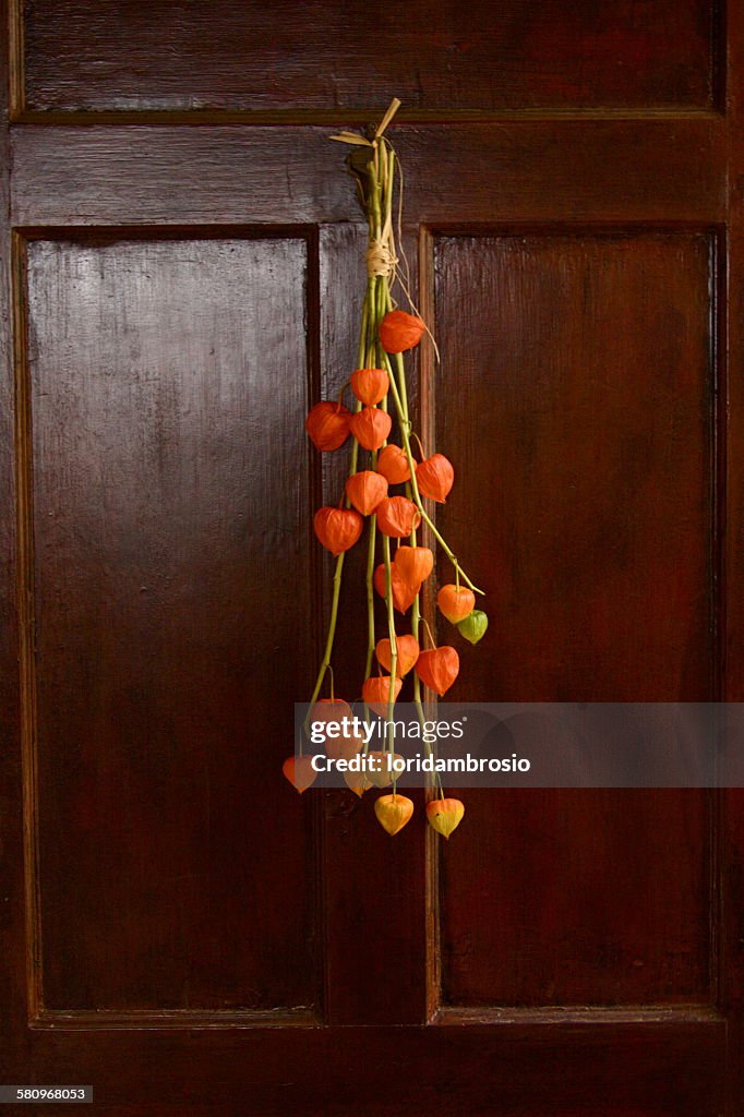 Chinese lantern pods hanging on the front door