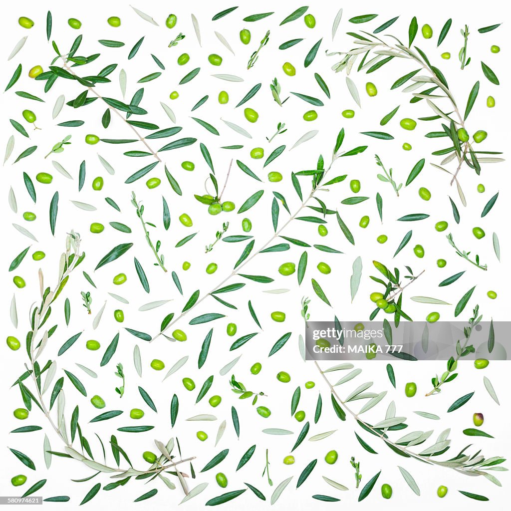 Branches, leaves and olives, seamless pattern