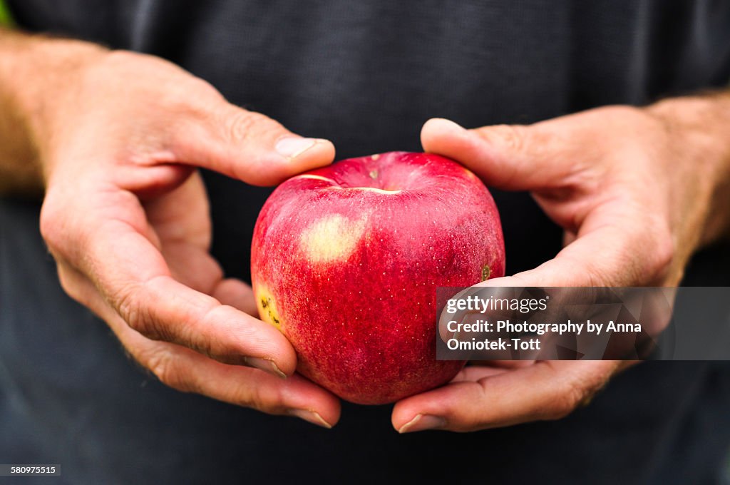 A big red apple