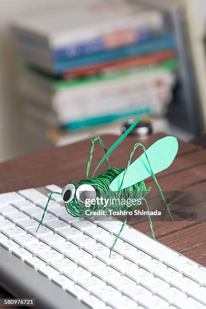 a toy grasshopper typing the keyboard - grasshopper toy stock pictures, royalty-free photos & images