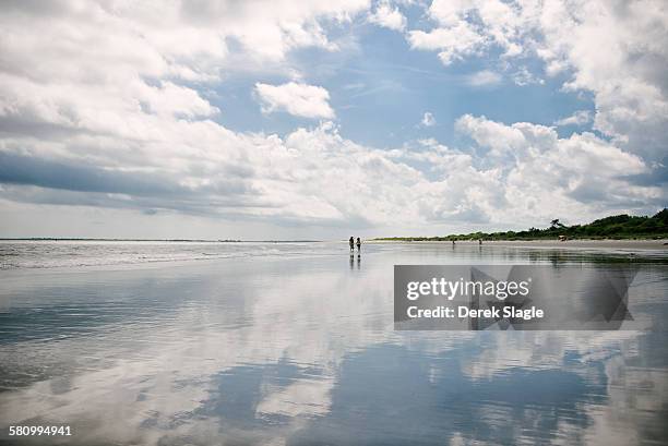 ocean reflections - mount pleasant south carolina stock pictures, royalty-free photos & images