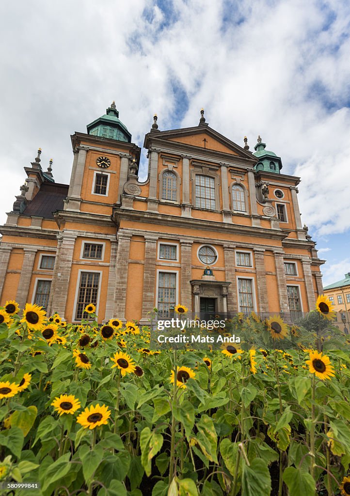 Kalmar cathedral and sunflowers