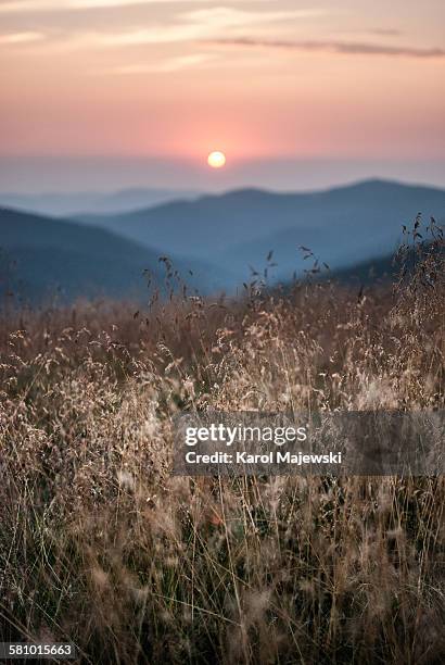 mountain meadow at the sunrise - nowy targ stock pictures, royalty-free photos & images