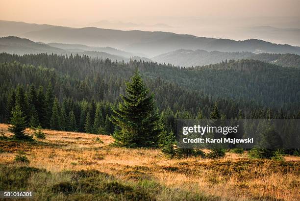 mountains at the sunrise - nowy targ stock pictures, royalty-free photos & images