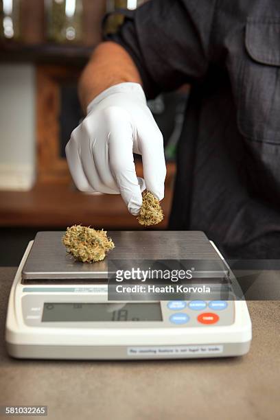 112 Weighing Weed Stock Photos, High-Res Pictures, and Images - Getty Images
