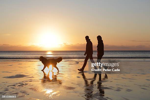 couple walking do on beach at sunset - walking side view stock-fotos und bilder