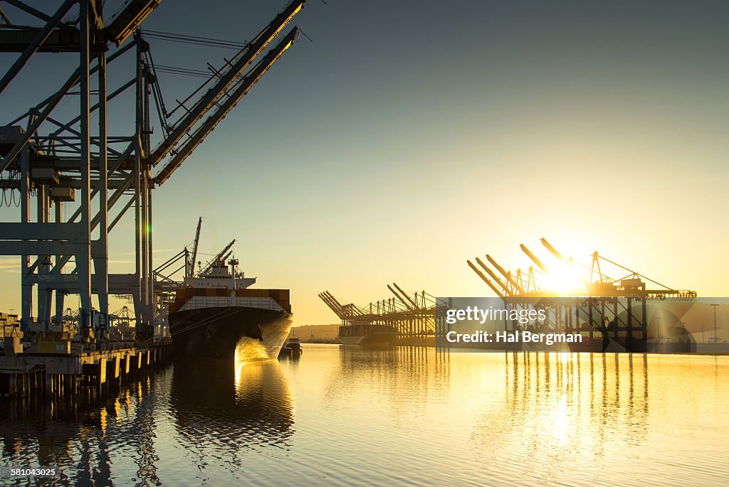 Container Ship and Cranes