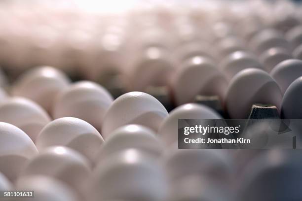 organic eggs lined up in crates. - somero photos et images de collection