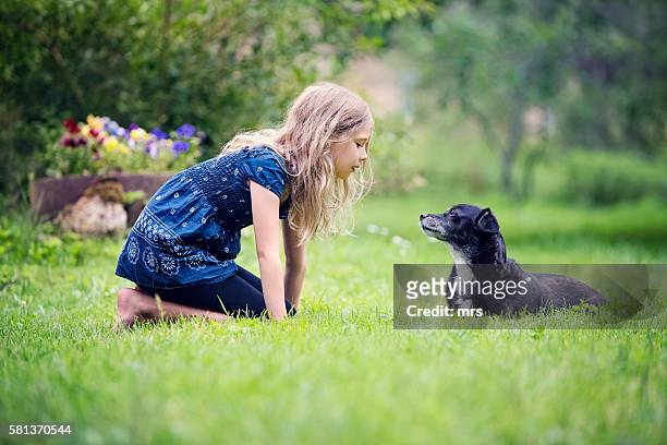 girl playing with dog - latvia girls stock pictures, royalty-free photos & images
