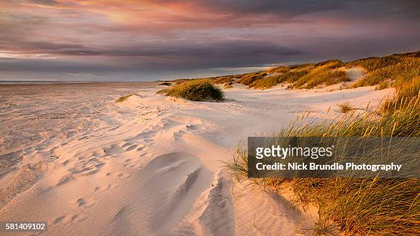 the pink hour - beach dunes foto e immagini stock