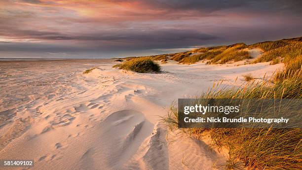 the pink hour - jutland stockfoto's en -beelden