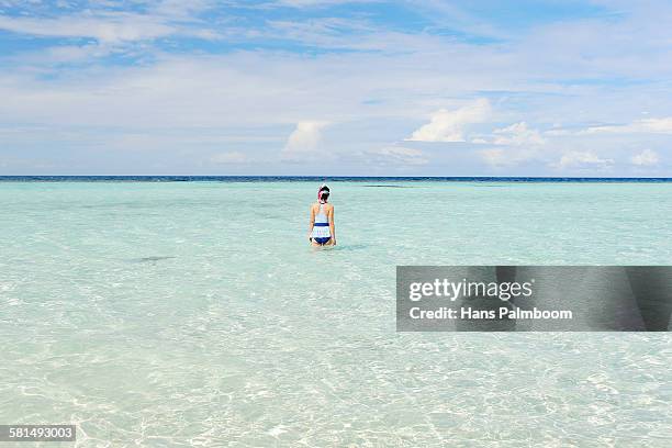 a girl snorkling in a tropical sea - palmboom stock pictures, royalty-free photos & images