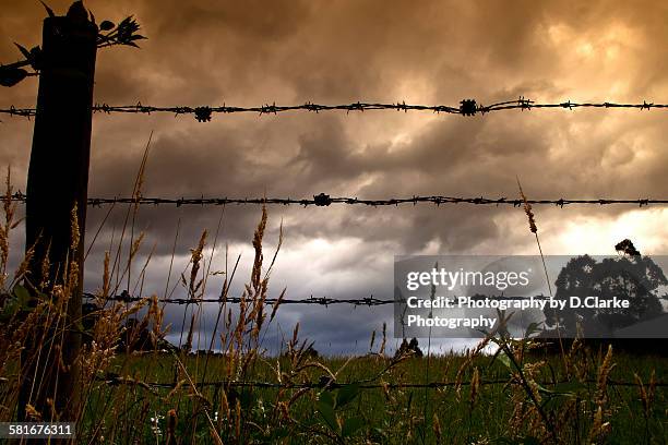 theres a storm coming - theres a storm coming stock pictures, royalty-free photos & images