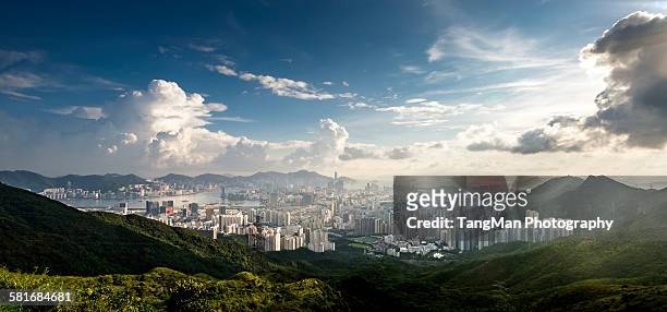the view of hong kong from kowloon peak - kowloon 個照片及圖片檔