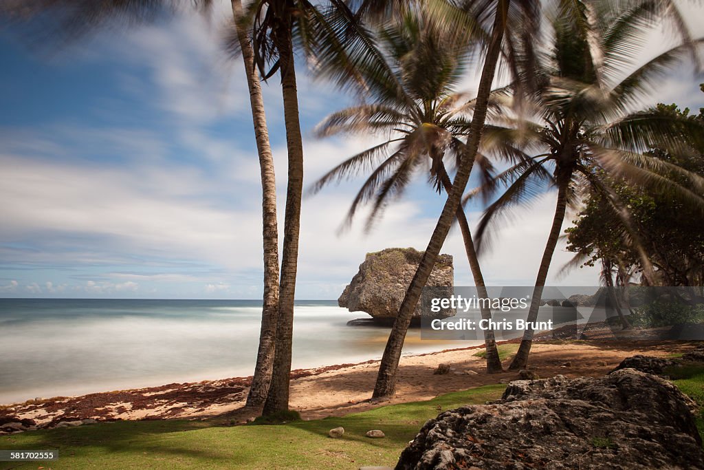 Bathsheba, Barbados