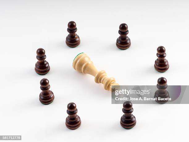 circle formed by laborers of chess with the king in the dead center - dead nettle stock pictures, royalty-free photos & images