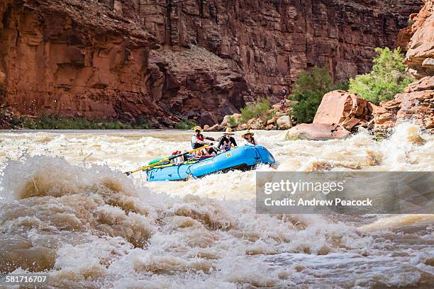 rafters approach house rock rapid, colorado river - rafting sulle rapide foto e immagini stock