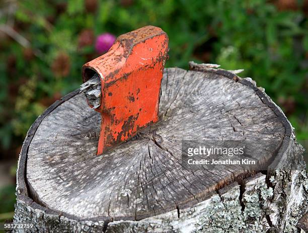 broken hatchet head buried in tree stump. - somero photos et images de collection