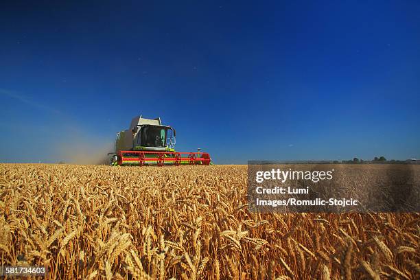 combine harvester in field, slavonia, croatia - slavonia stock pictures, royalty-free photos & images