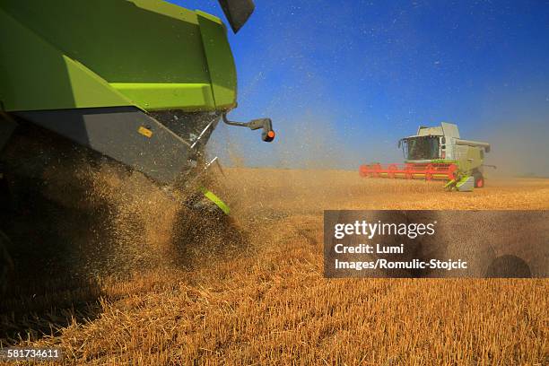 combine harvesters in field, slavonia, croatia - slavonia stock pictures, royalty-free photos & images