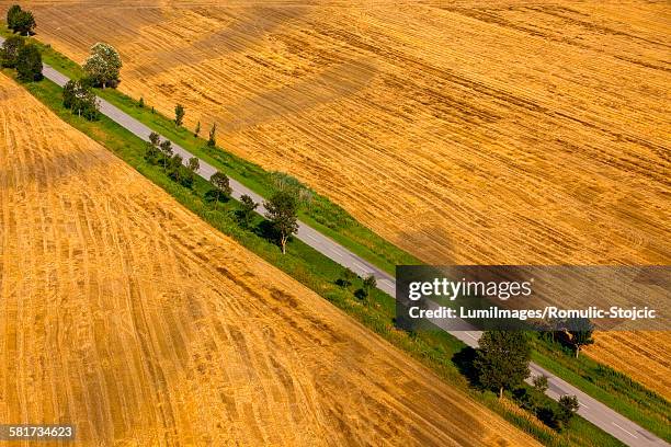 aerial view of farmland, slavonia, croatia - slavonia stock pictures, royalty-free photos & images