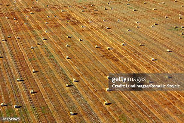 aerial view of farmland, slavonia, croatia - slavonia stock pictures, royalty-free photos & images